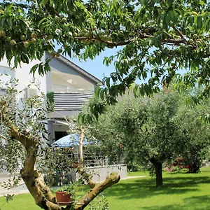 Apartman Nelle, Pula